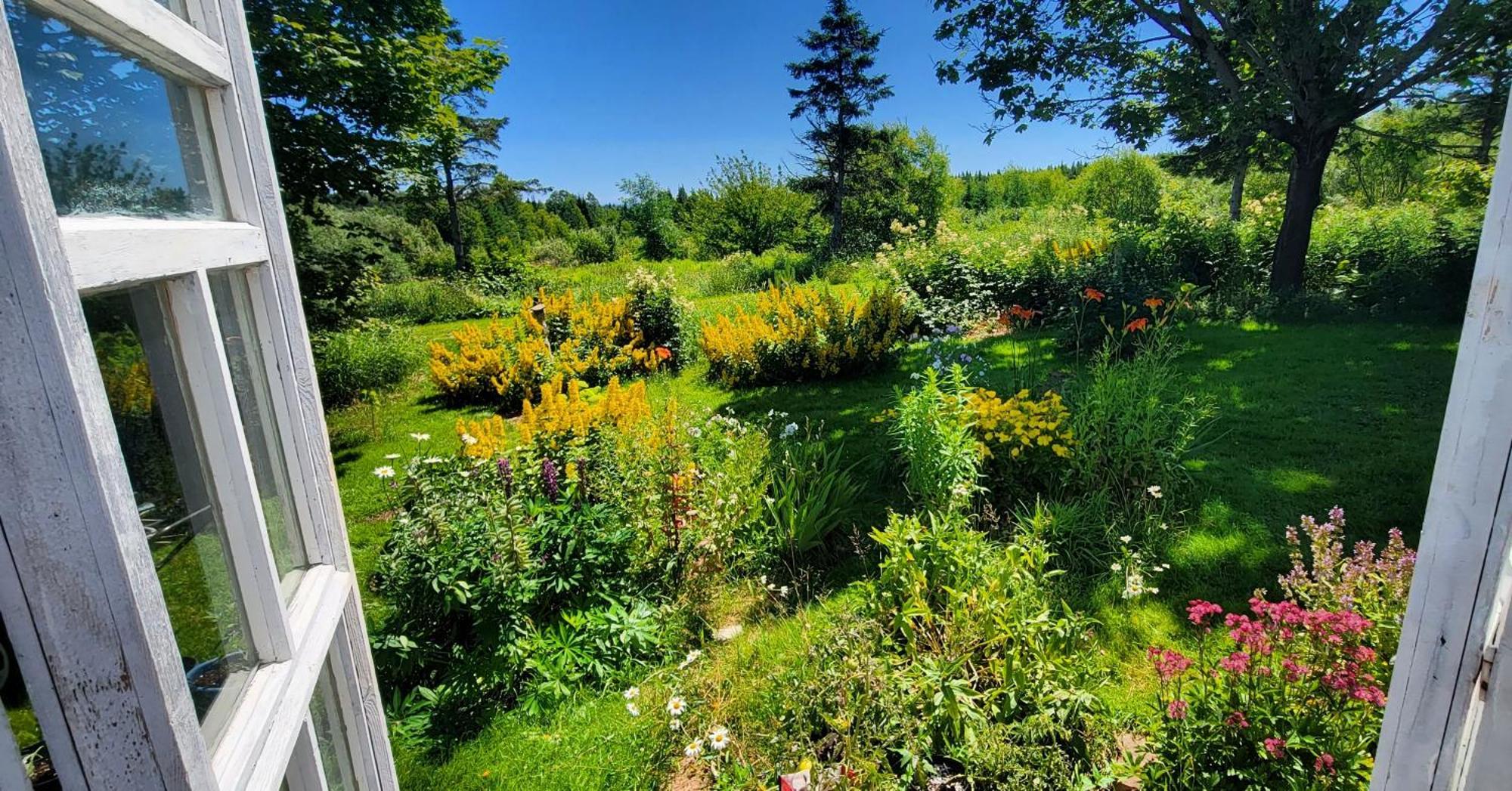 לינה וארוחת בוקר פרסה Gite Aux Jardins De L'Anse מראה חיצוני תמונה