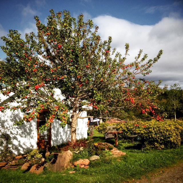 לינה וארוחת בוקר פרסה Gite Aux Jardins De L'Anse מראה חיצוני תמונה