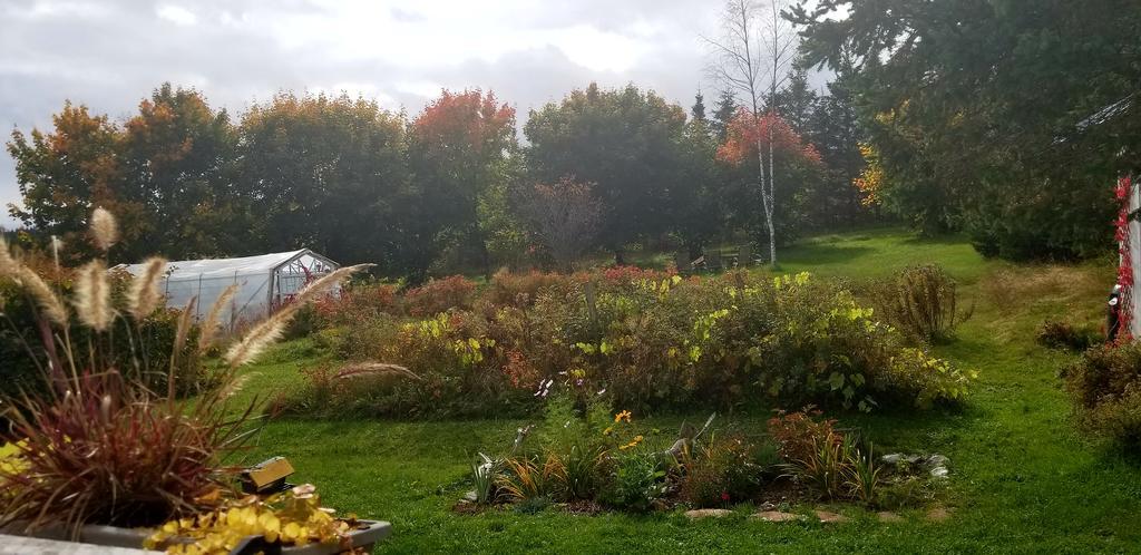 פרסה Gite Aux Jardins De L'Anse מראה חיצוני תמונה