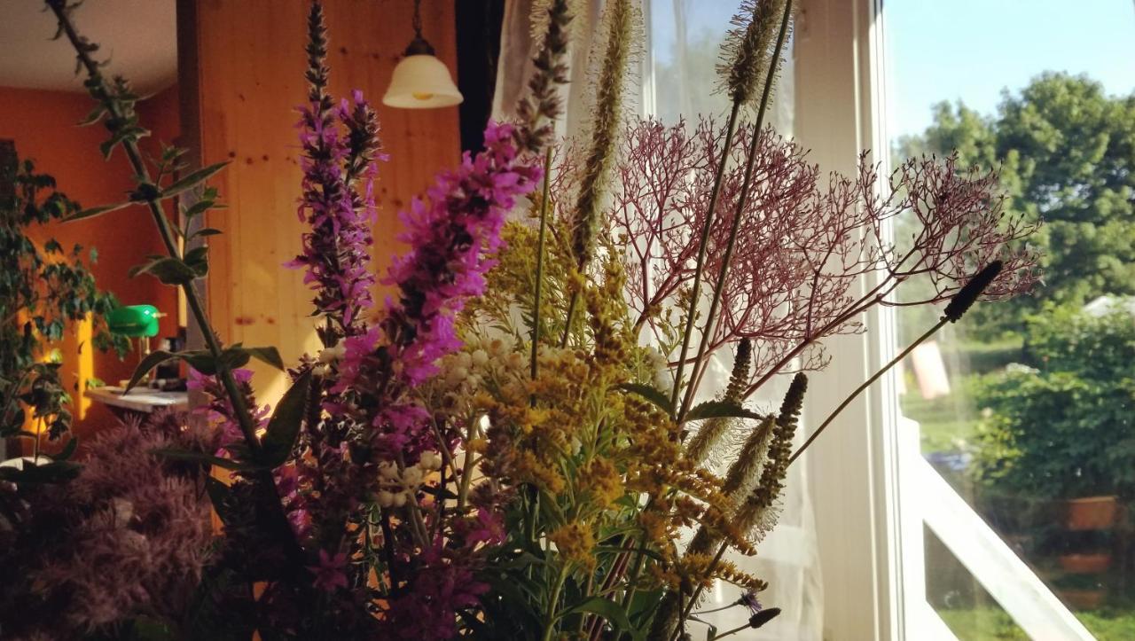 פרסה Gite Aux Jardins De L'Anse מראה חיצוני תמונה